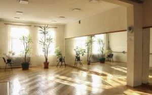 Sala baletowa (2)