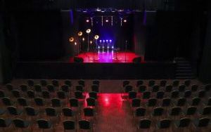 Sala widowiskowa (4)