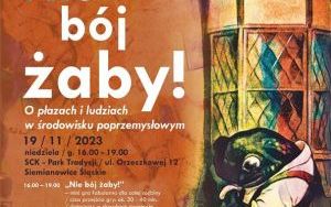 Nie b&oacute;j żaby (4)