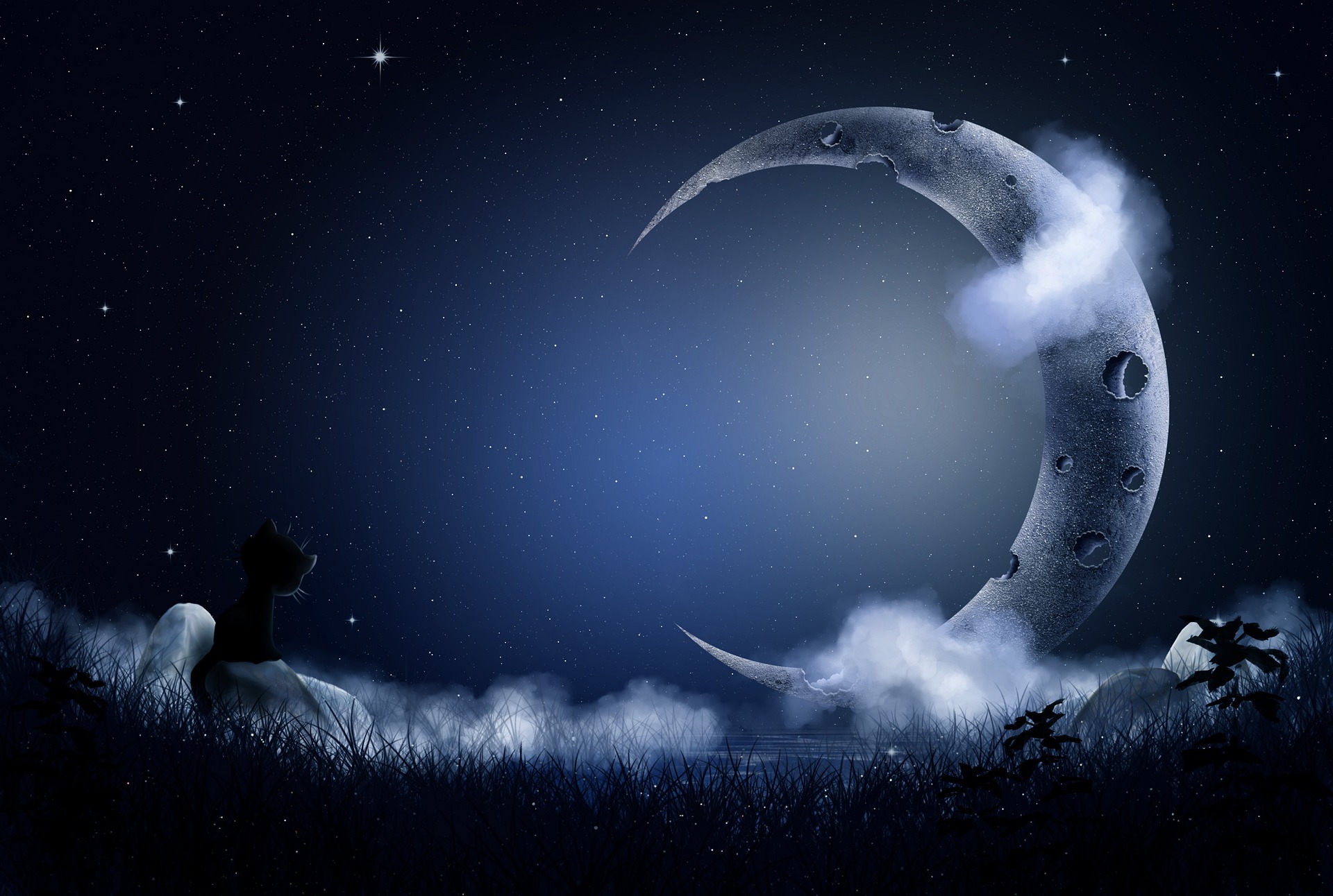 Na tle gwieździstego nieba duży księżyc w nowiu. Na pierwszym planie czarny kotek patrzący w gwiazdy.