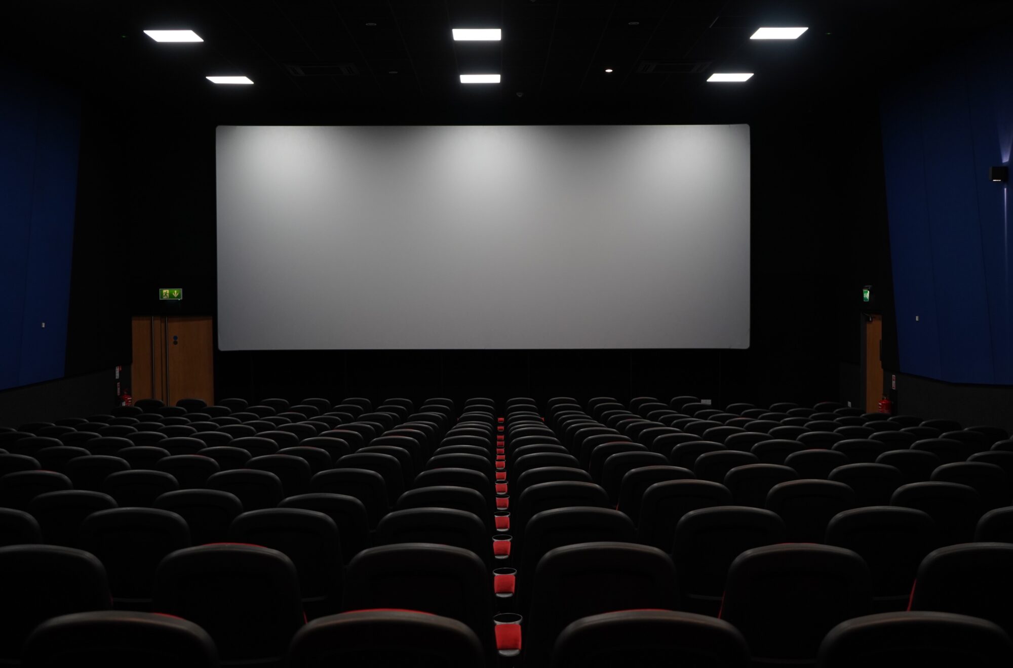 Widok od tyłu na salę kinową z czanrymi fotelami i białym ekranem